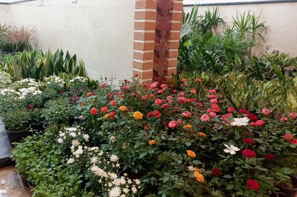 نمایشگاه گل و گیاه در نمایشگاه دائمی قرچک