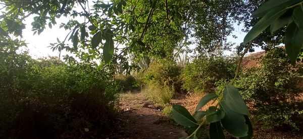 مزار گردشگری کلاته بایزید، گوهر پنهان طبیعت در دل کوهستان 