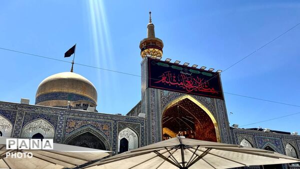 آرامشی زیر گنبد طلای امام رضا (ع)