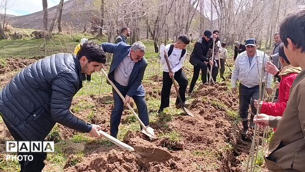 کاشت نهال در اردوگاه دانش آموزی امام خمینی(ره) منطقه ازناو شهرستان خلخال