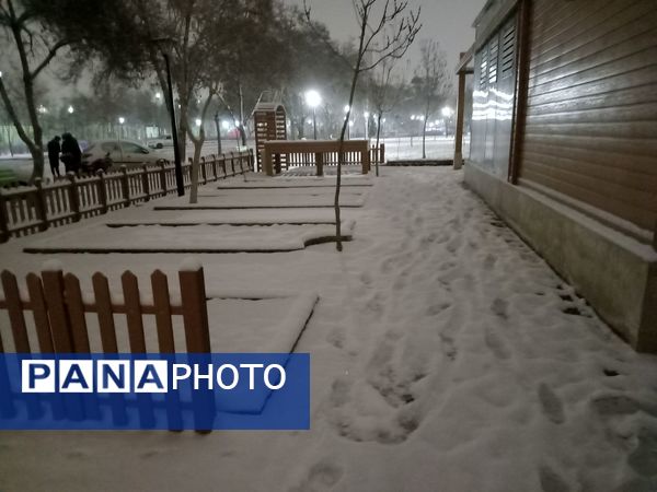 بارش برف در شهر مشهد 