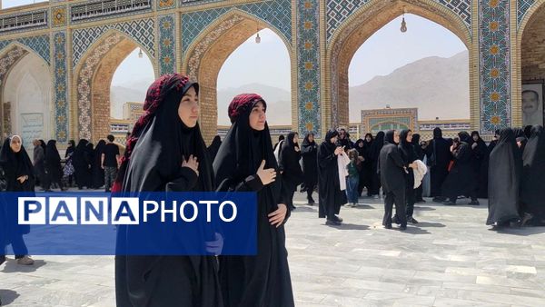 دل‌های جامانده، گرد حرم سلطان علی(ع) در مشهد اردهال به شور افتادند