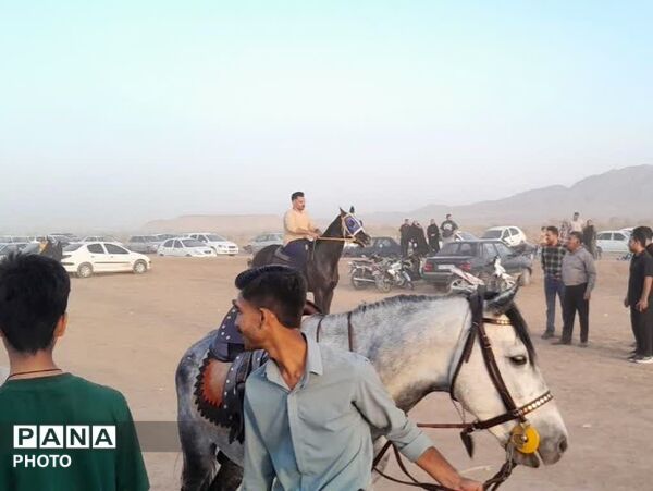 تاخت و تاز خاطره‌ها در فدافن؛ مسابقات اسب‌سواری به نام شهید نظافتی