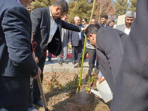 کاشت نهال یادمان صحن دانش تا کرسی قانون‌گذاری 