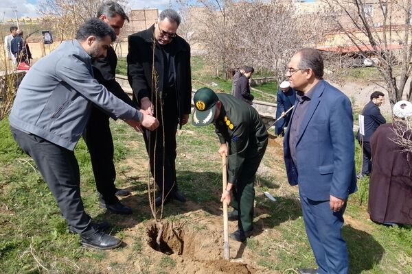 غرس نهال مثمر در کانون فرهنگی هنری شهید فهمیده مرند 
