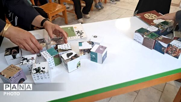 "یک قاب لبخند" به مناسبت روز خانواده