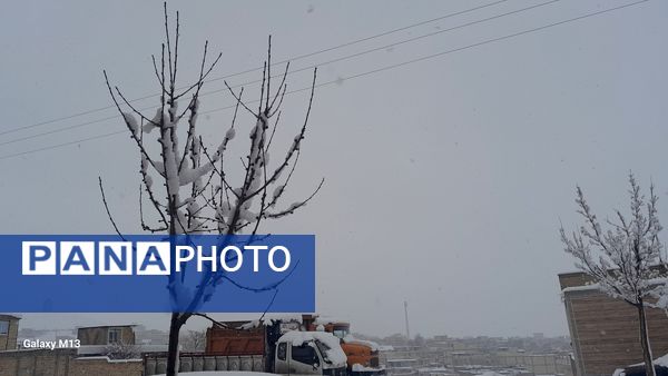 عروس فصل‌ها باری دیگر مهمان شهرستان بن