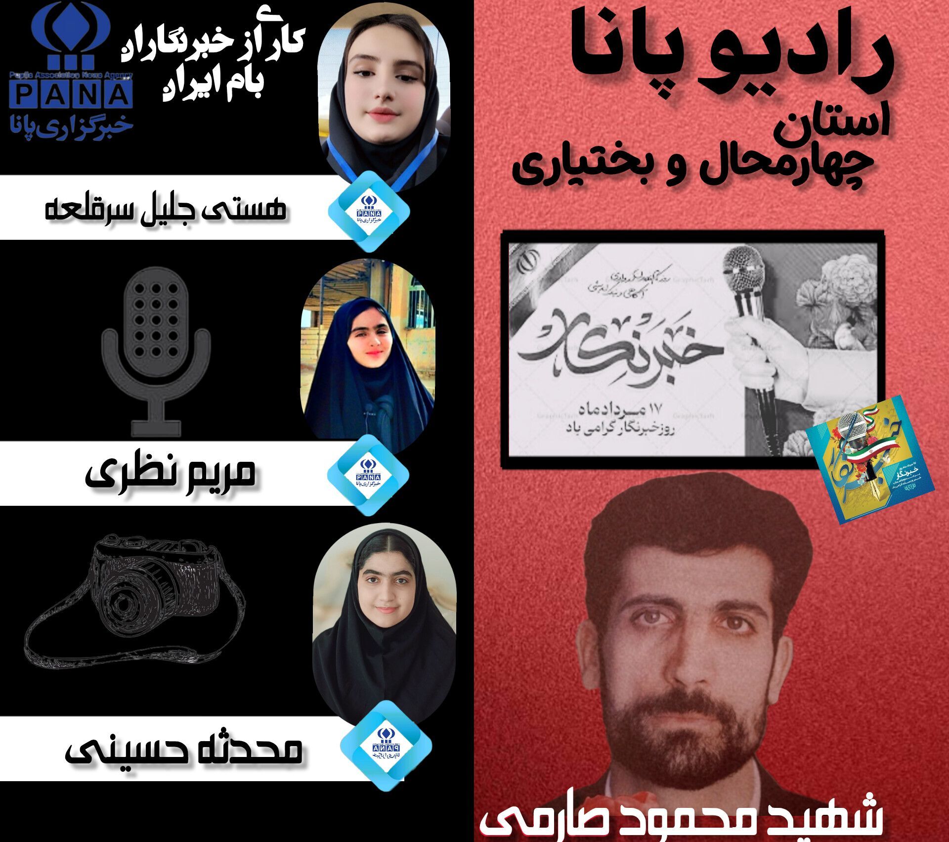 شهید محمود صارمی