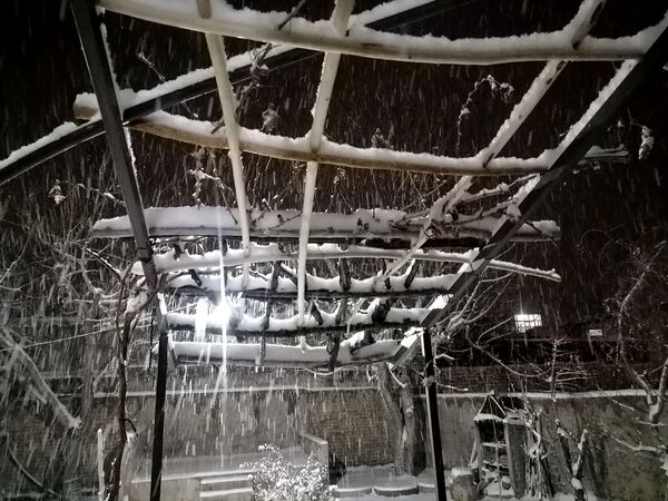 گذری بر بارش برف زمستانی در شهر بار