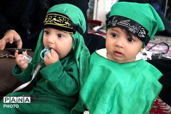 اجتماع عاشقان کوچک؛روایت شیرخوارگان حسینی