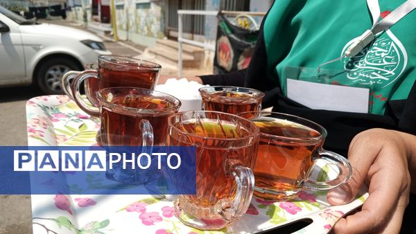 دانش‌آموزان کوهدشتی در خدمت زوار حسینی