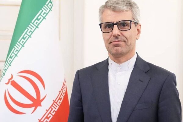 بقائی: اکنون که لبنان مقاومت می‌کند، ناگهان به یاد «حقوق بین‌الملل» افتاده‌اند