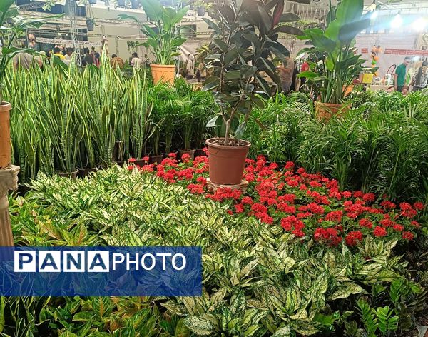 یازدهمین نمایشگاه گل و گیاه، صنایع دستی و سوغات اقوام ایرانی در اصفهان