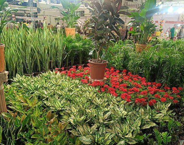 یازدهمین نمایشگاه گل و گیاه، صنایع دستی و سوغات اقوام ایرانی در اصفهان