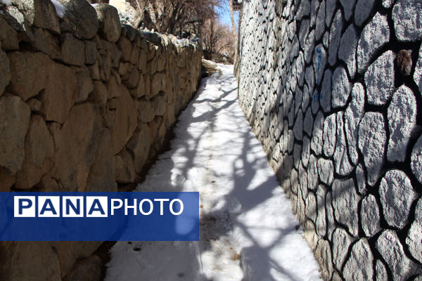 روز برفی و دل انگیز ده‌بالا یزد