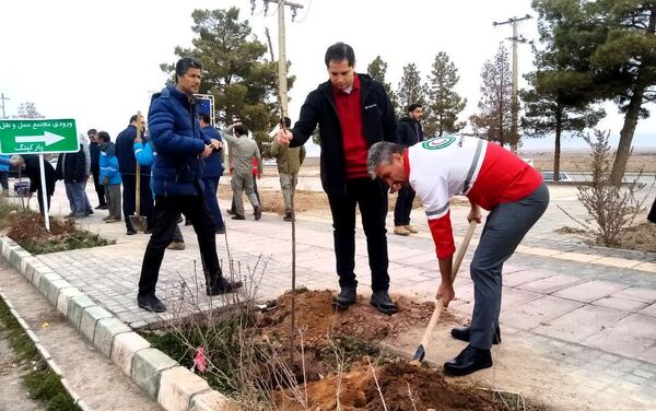 روز درختکاری در تربت جام