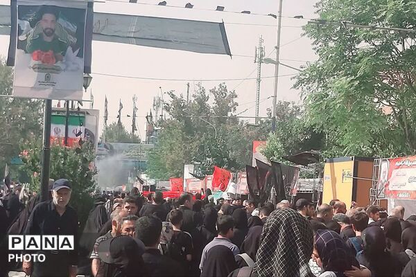 دلدادگان اربعین در تهران