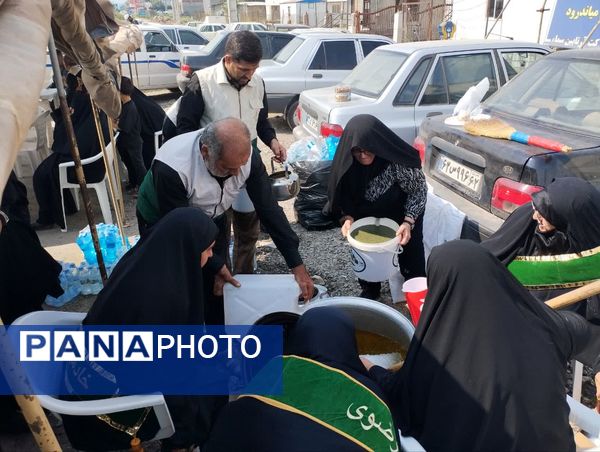 برپایی موکب امام رضا(ع) در میاندورود 