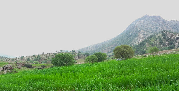 طبیعت بسیار خاص منطقه زیودار شهرستان معمولان