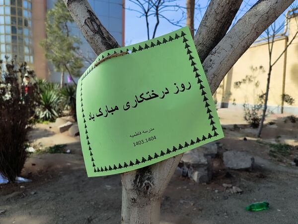 دانش‌آموزان و مسئولین شهرستان ملارد، در روز درختکاری جوانه‌های امید را به زمین هدیه دادند