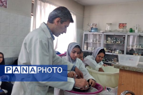 مزه شیرین علم، بستنی علمی