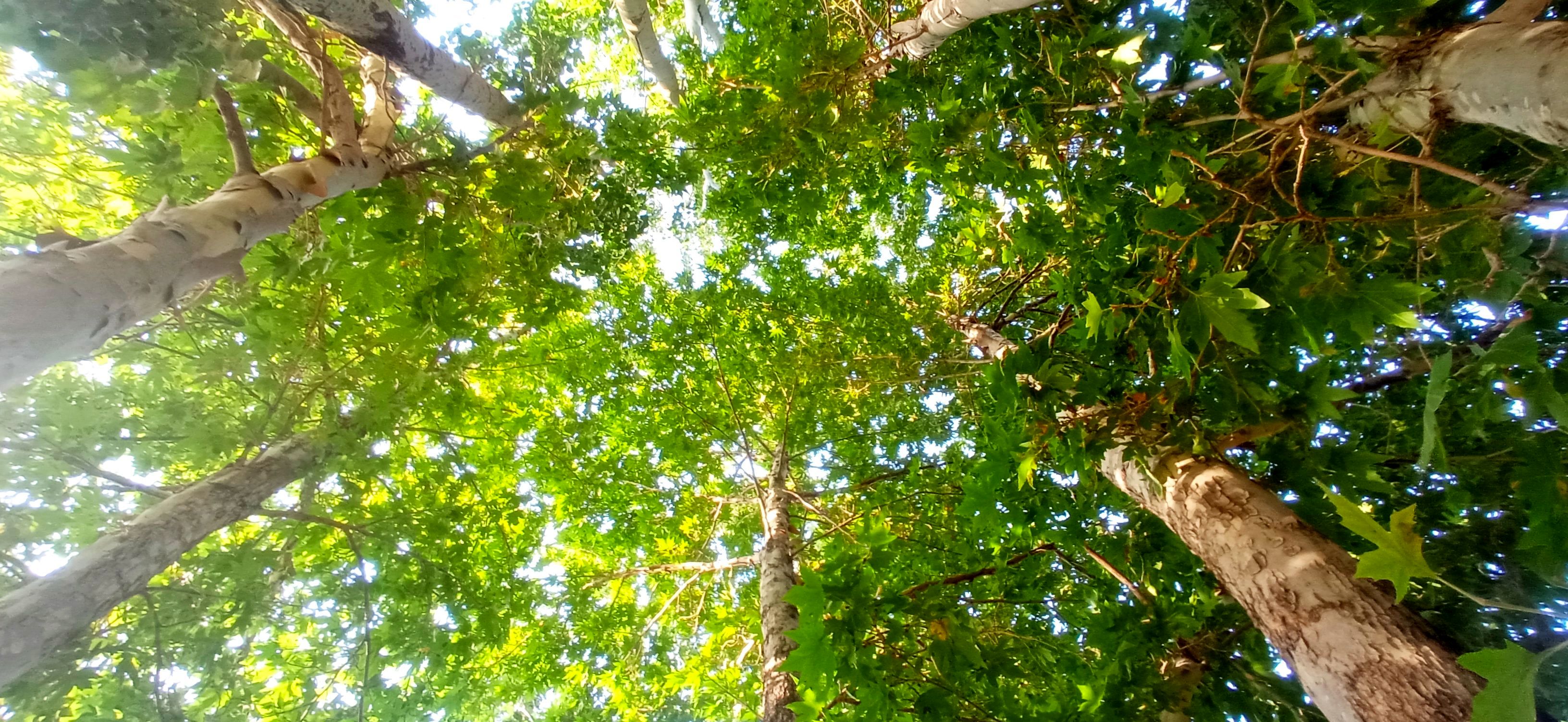 مزار گردشگری کلاته بایزید، گوهر پنهان طبیعت در دل کوهستان 