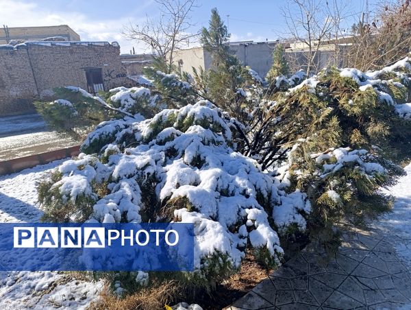 رقص دانه‌های برف بر بام‌های سفیددشت