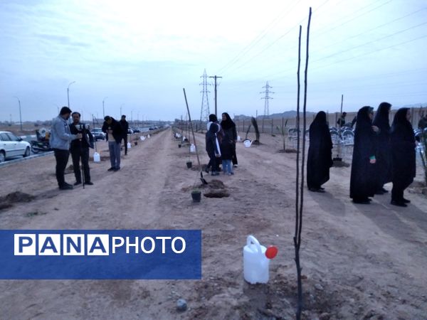 پویش مردمی درخت یادگار در یزد 