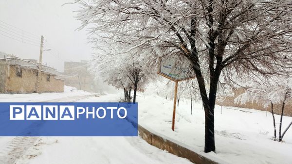 بارش سنگین برف در بن؛ رکورد تازه زمستان