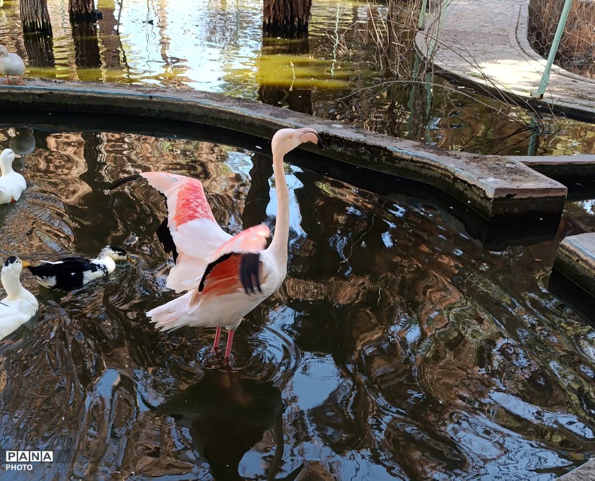 بازدید خبرنگاران پانا جلگه رخ از تربت حیدریه و آشنایی با میراث تاریخی و طبیعی 