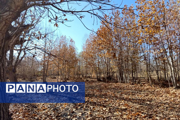 خزان زیبا در کوچه باغ‌های شهر بهمن