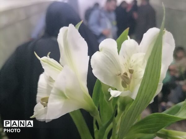 مراسم جشن هیات نوجوانان در حرم کریمه اهل بیت(س)