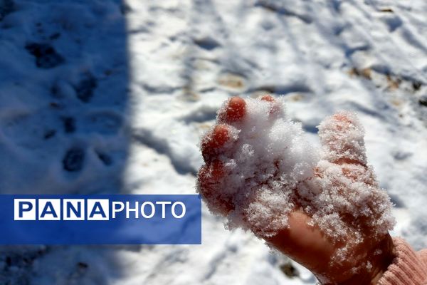 رد پای برف در باغات نهضت آباد اصفهان