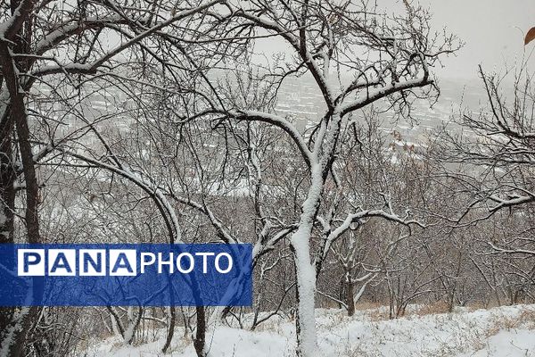 یک قدم مانده به زمستان طبیعت شهر بار کاملاً زمستانی شد