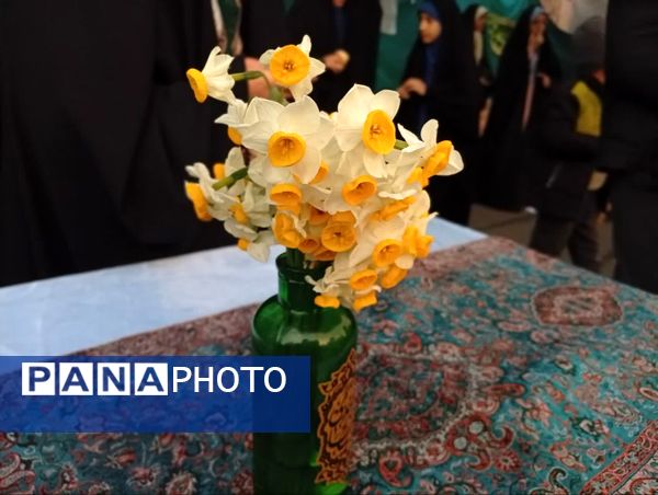 جشن میلاد حضرت مهدی (عج) در امامشهر با برپایی «پیاده‌راه ولی عصر(عج)»