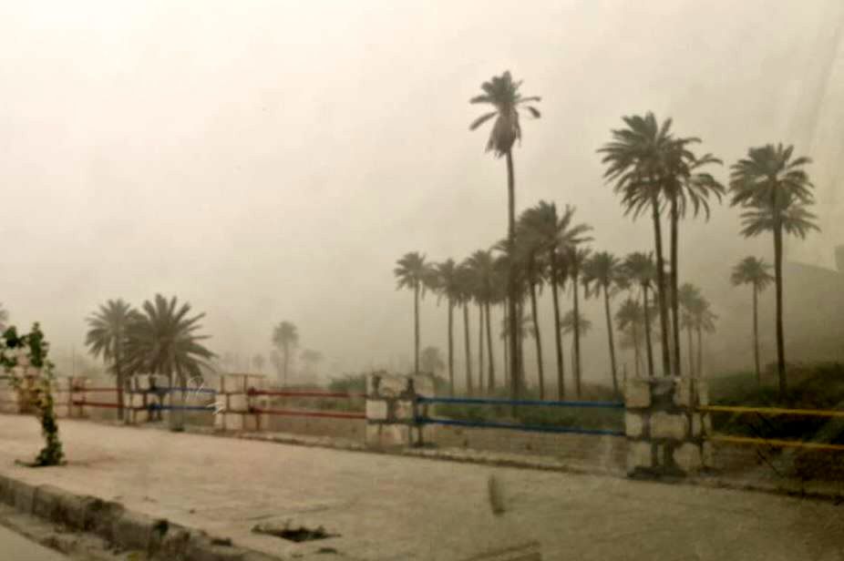 جزئیات برگزاری نشست «گرد و غبار، میراث خشکی تالاب‌ها» 