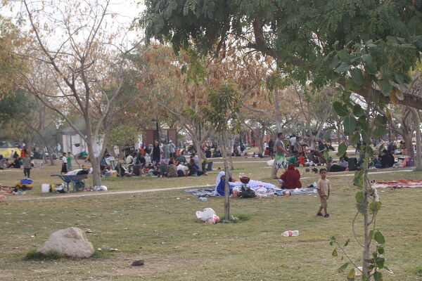 روز طبیعت در بوشهر