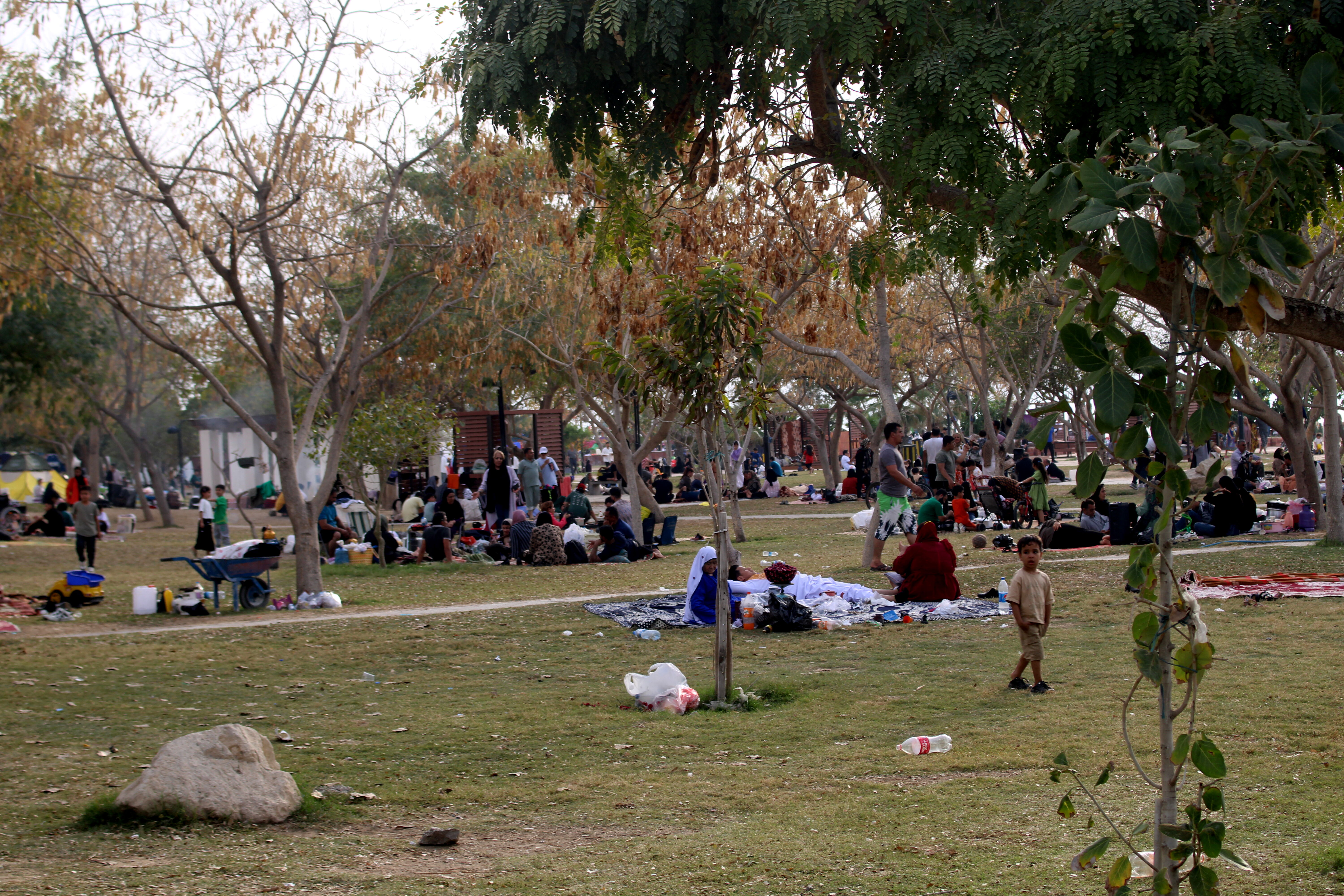 روز طبیعت در بوشهر
