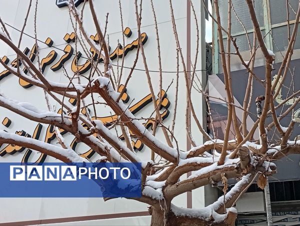 برف میهمان کاشمر شد