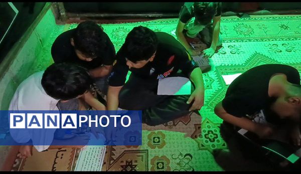 پل های عاطفی به سوی کربلا