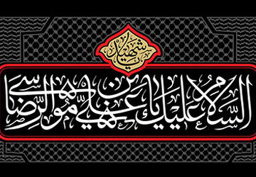  دلگویه جامانده از زیارت امام رضا(ع) 