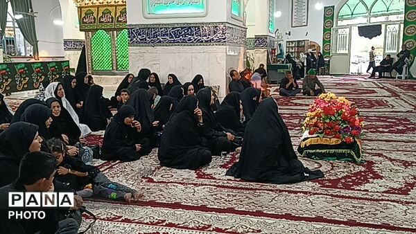 برگزاری مراسم تشییع نمادین امام رضا(ع)در امامزاده سید محمد(ع) کاشمر