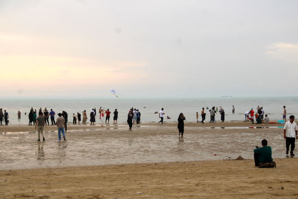 روز طبیعت در بوشهر