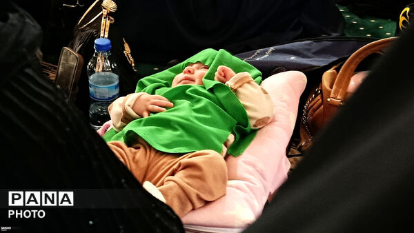 مصلی زنجان غرق در عطر علی‌اصغر(ع)