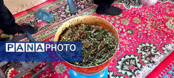 برگزاری باشکوه مراسم عزاداری امام رضا(ع) در نورآباد روستای سراب غضنفر