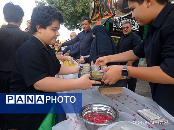 دل به دل، قدم به قدم مسیر عشق اربعین