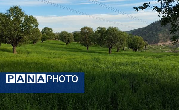 روستای شلیل نگین سرسبزی در دل کوه‌های میانکوه