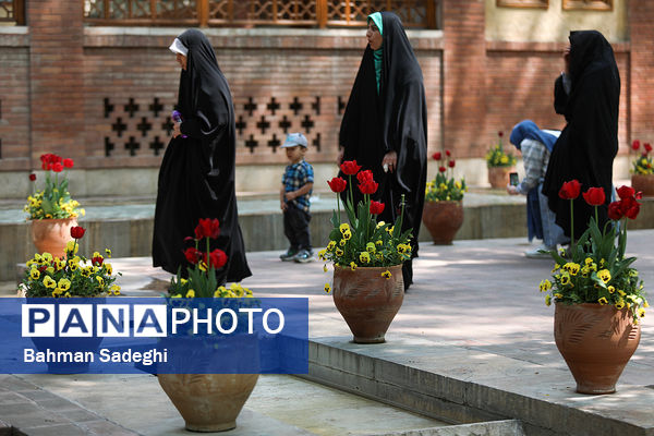 فصل لاله‌ها در بوستان باغ ایرانی