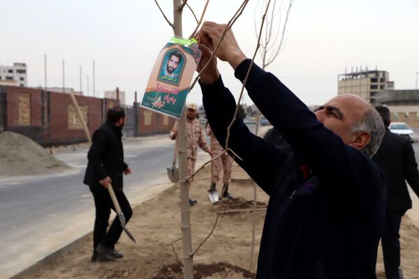 کاشت درخت به یاد شهدا در محمدشهر 