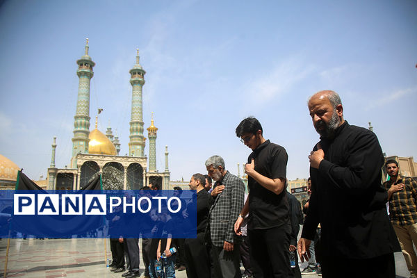 حضور دسته‌عزاداری سالروز شهادت امام جعفر صادق(ع) در حرم حضرت معصومه(س)